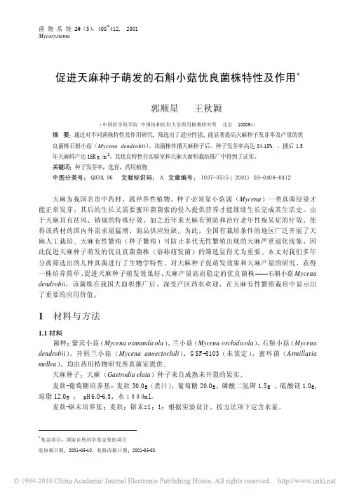 促进天麻种子萌发的石斛小菇优良菌株特性及作用