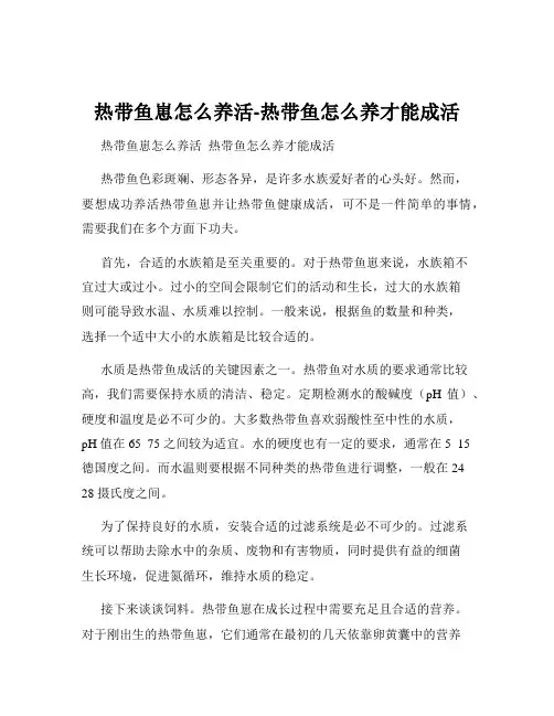 热带鱼崽怎么养活-热带鱼怎么养才能成活