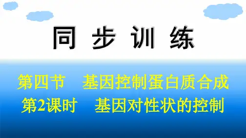 浙科版高中生物学必修2精品课件 第3章 遗传的分子基础 第4节 第2课时 基因对性状的控制