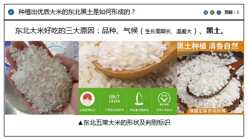 土壤形成的主要因素ppt课件