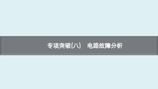 中考安徽省物理考点梳理过关 专项突破(八) 电路故障分析