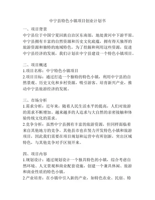 中宁县特色小镇项目创业计划书