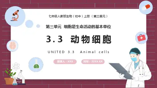 动物细胞PPT讲课课件