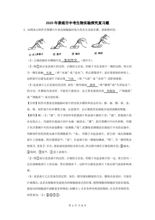 2020年娄底市中考生物实验探究复习题及答案