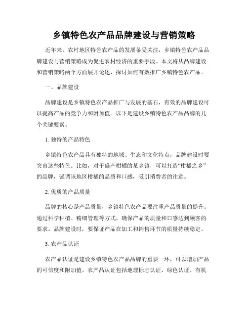 乡镇特色农产品品牌建设与营销策略