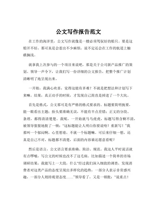 公文写作报告范文