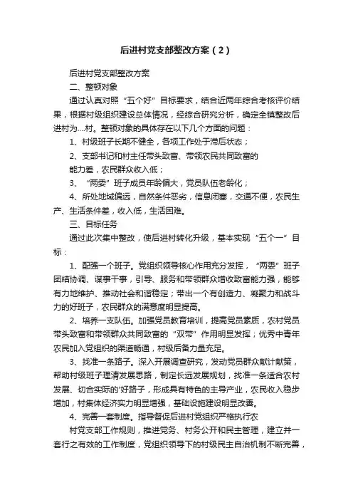 后进村党支部整改方案（2）