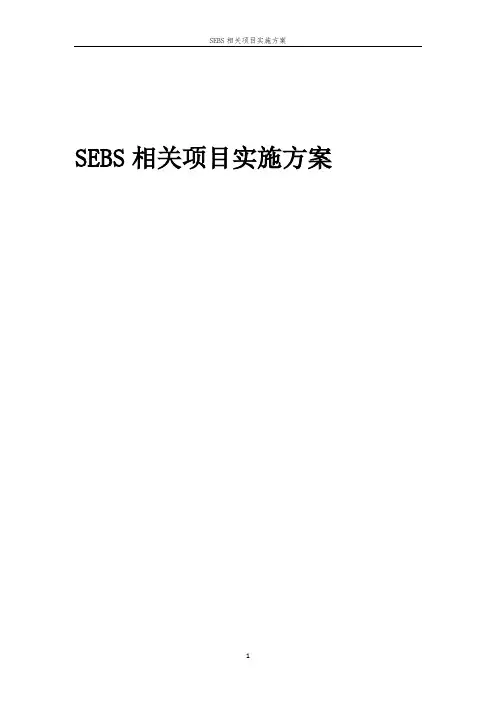 SEBS相关项目实施方案