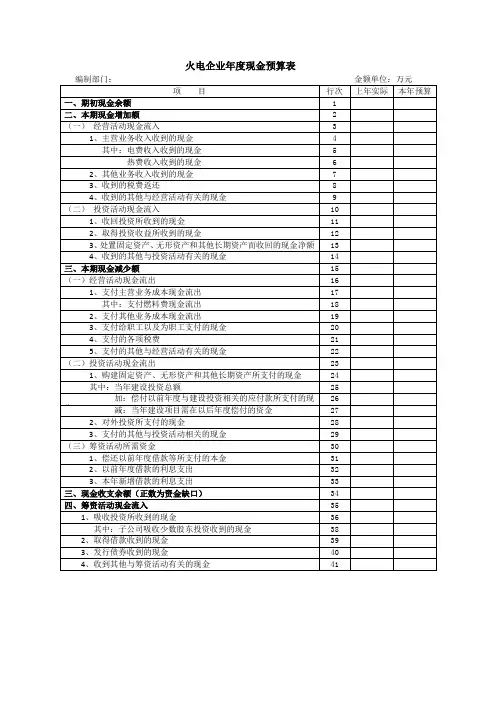 火电企业年度现金预算表