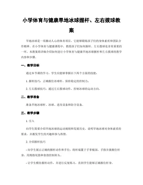 小学体育与健康旱地冰球握杆、左右拨球教案