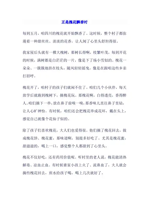 正是槐花飘香时作文