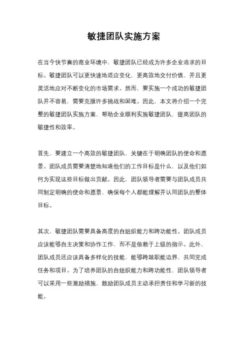 敏捷团队实施方案