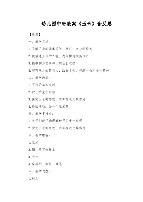 幼儿园中班教案《玉米》含反思