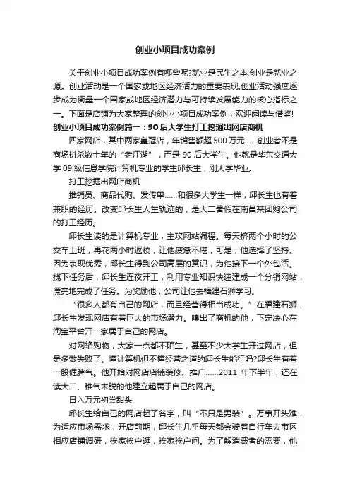 创业小项目成功案例