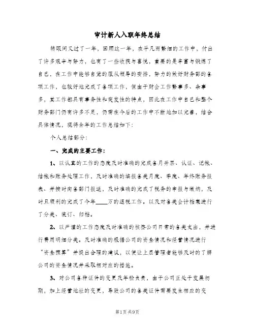 2023年审计新人入职年终总结(四篇)