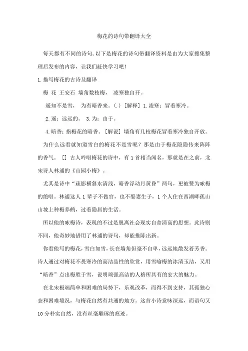 梅花的诗句带翻译