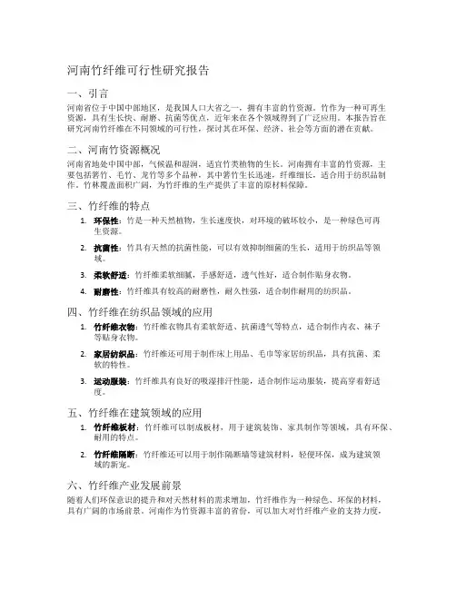 河南竹纤维可行性研究报告