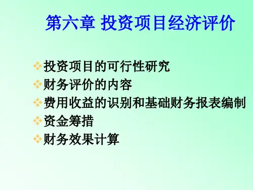【精品】6投资项目经济评价