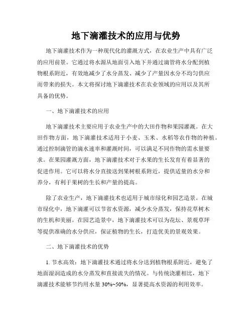 地下滴灌技术的应用与优势