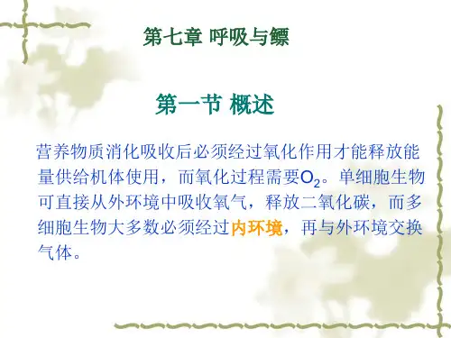 第六章 呼吸与鳔