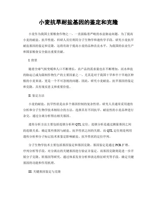 小麦抗旱耐盐基因的鉴定和克隆