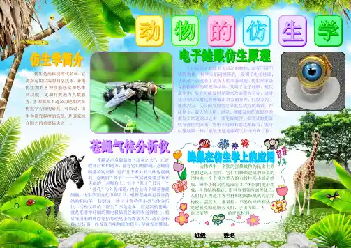动物的仿生学科技电子小报模板科学在我身边手抄报生活中的科普知识探索创新自然天文动物植物A4