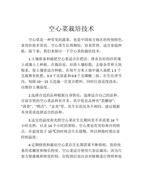 空心菜栽培技术