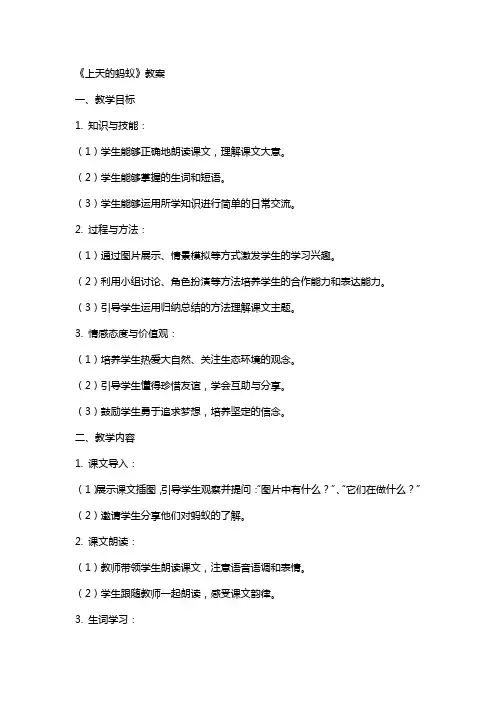 《上天的蚂蚁》教案