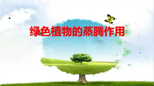 绿色植物的蒸腾作用
