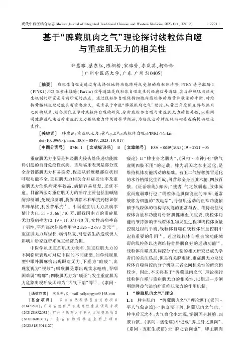 基于“脾藏肌肉之气”理论探讨线粒体自噬与重症肌无力的相关性