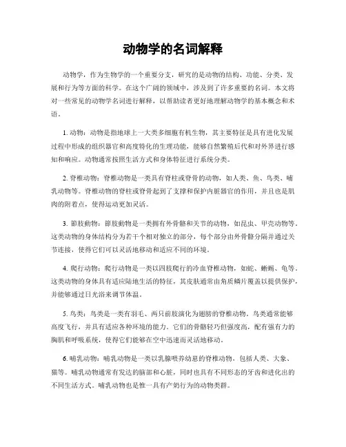 动物学的名词解释