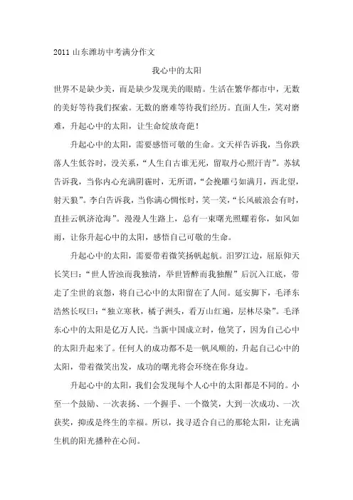 潍坊市中考满分作文-我心中的太阳 (1)
