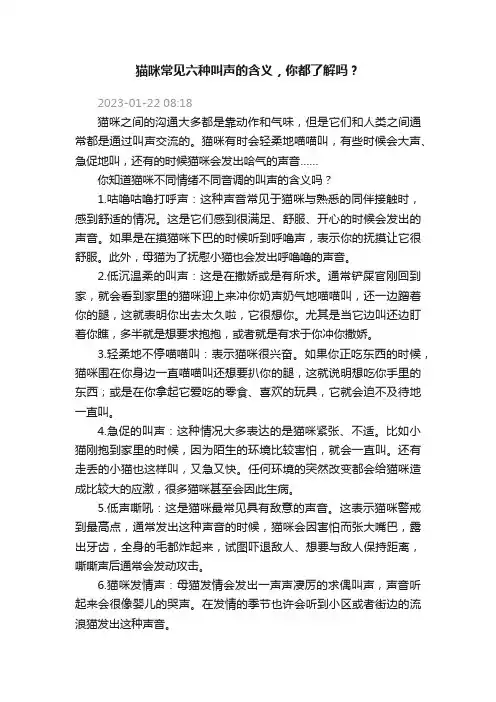 猫咪常见六种叫声的含义，你都了解吗？