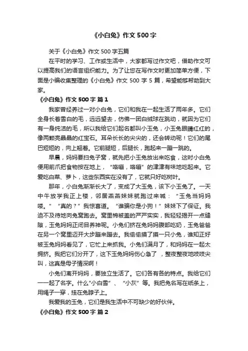 《小白兔》作文500字