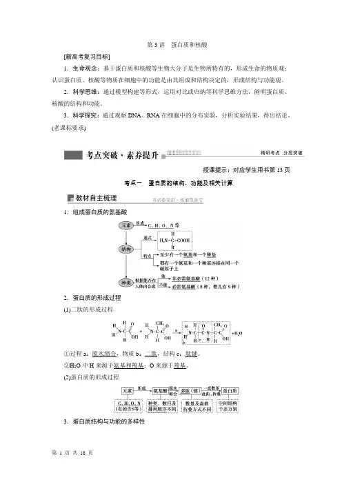 蛋白质和核酸 学案