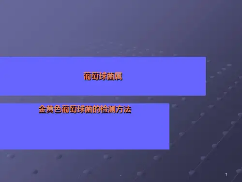 金黄色葡萄球菌检测方法ppt课件