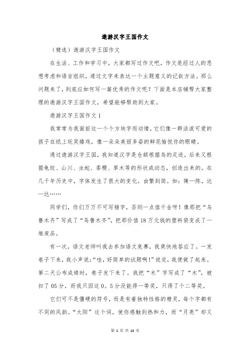 遨游汉字王国作文