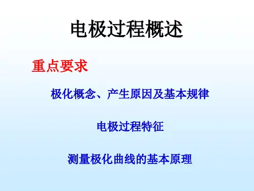 电极过程概述-