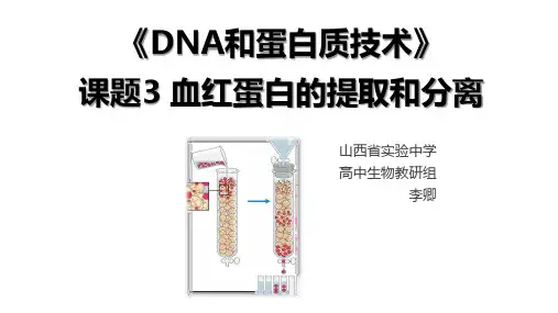 5.3血红蛋白的提取和分离