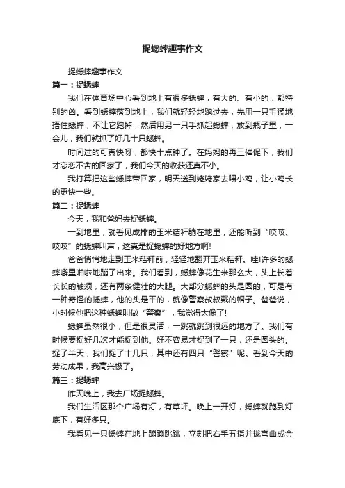 捉蟋蟀趣事作文