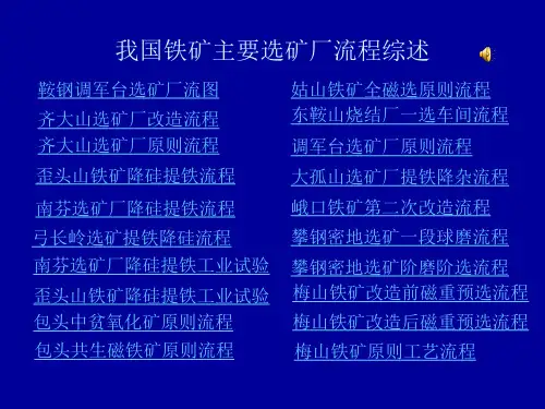 我国铁矿主要选矿厂流程综述