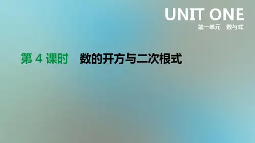 2021年中考数学专题复习第一单元数与式第04课时数的开方与二次根式课件
