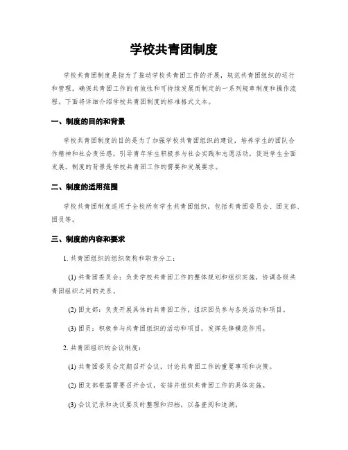 学校共青团制度