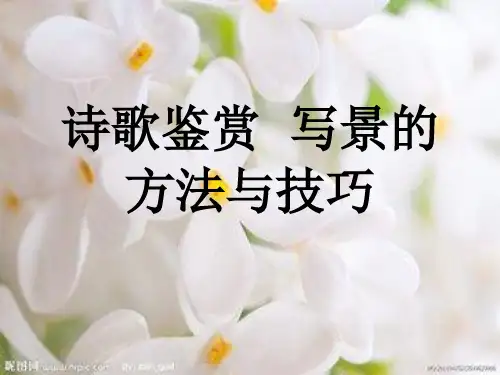 诗歌鉴赏写景的方法技巧