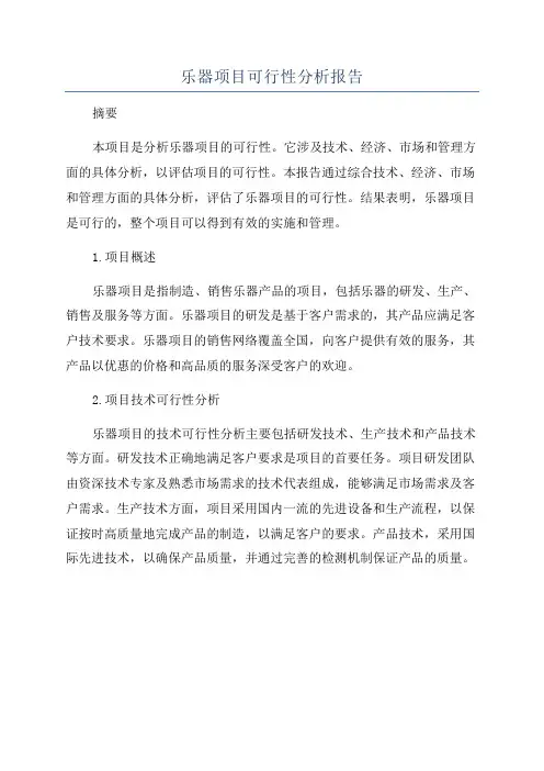 乐器项目可行性分析报告