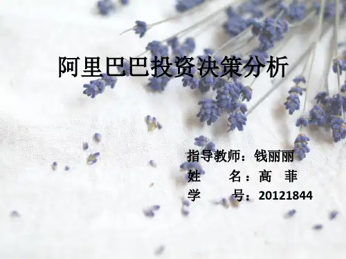 阿里巴巴投资项目案例分析分析