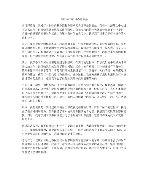 制作标书实习心得体会