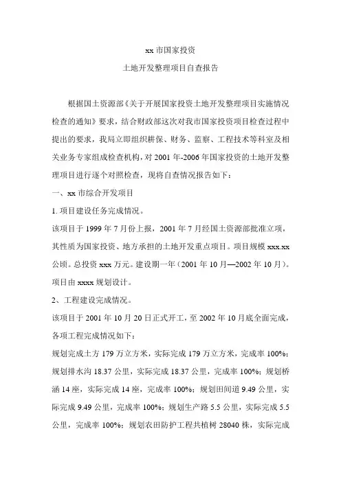 xx市国家投资项目自查报告