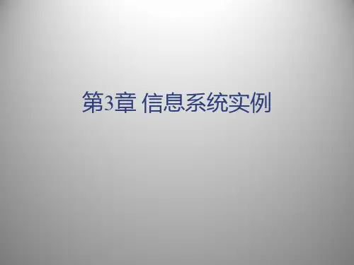 信息系统开发与项目管理PPT课件