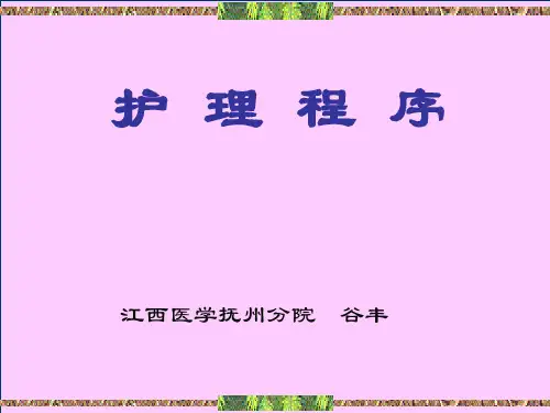 护理程序